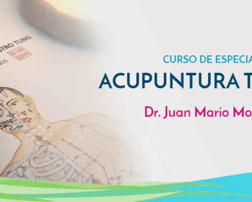 ACUPUNTURA TUNG con Dr. Juan Mario Montecinos | IN MEMORIAM