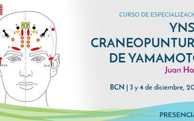 Curso YNSA CRANEOPUNTURA DE YAMAMOTO con Juan Hahn | BARCELONA 3 y 4 de diciembre, 2022