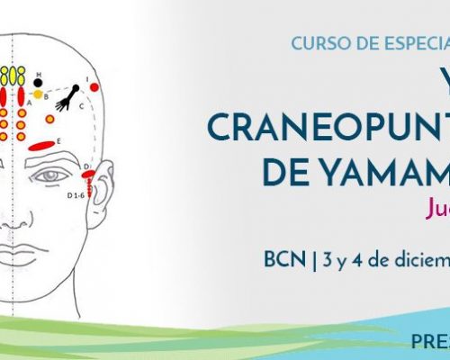 Curso YNSA CRANEOPUNTURA DE YAMAMOTO con Juan Hahn | BARCELONA 3 y 4 de diciembre, 2022