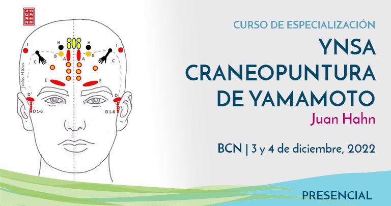 Curso YNSA craneopuntura de yamamoto con Juan Hahn en Barecelona - 3 y 4 de diciembre, 2022
