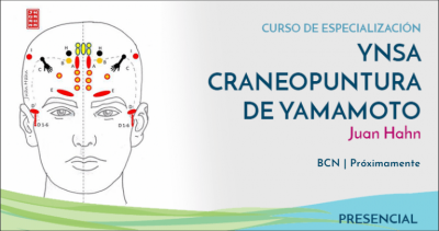 Curso YNSA CRANEOPUNTURA DE YAMAMOTO con Juan Hahn | BARCELONA